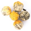 Golden Fortune Balls lose