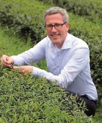 Quality control on a tea plantation