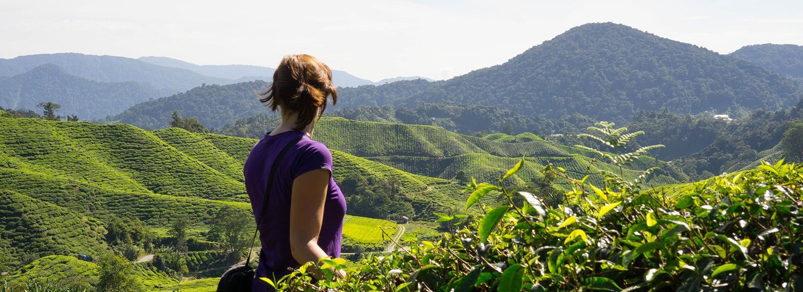 Die Ronnefeldt TeaAcademy Eine Frau schaut bei einer Schulung in die Teeplantage