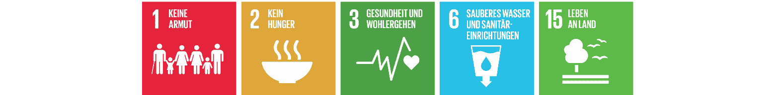 Icons der UN-Nachhaltigkeitsziele: Keine Armut, Kein Hunger, Gesundheit, Sauberes Wasser und Leben an Land.