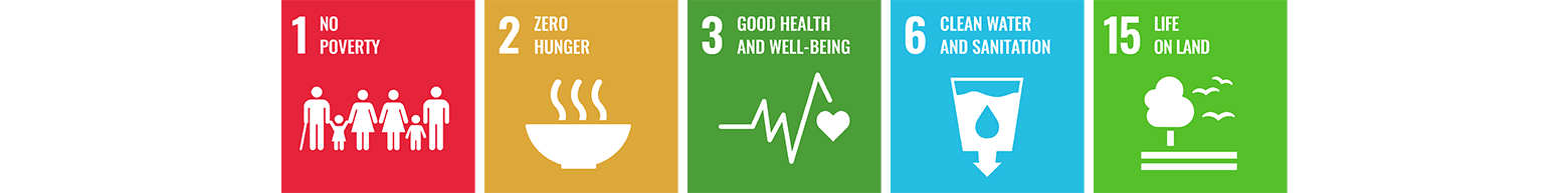 Icons for the UN Sustainable Development Goals: No Poverty, Zero Hunger, Good Health and Well-being, Clean Water and Sanitation, and Life on Land.