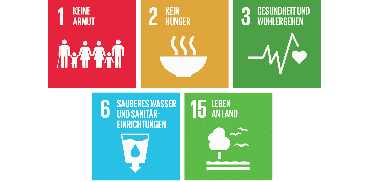 Icons der UN-Nachhaltigkeitsziele: Keine Armut, Kein Hunger, Gesundheit, Sauberes Wasser und Leben an Land.