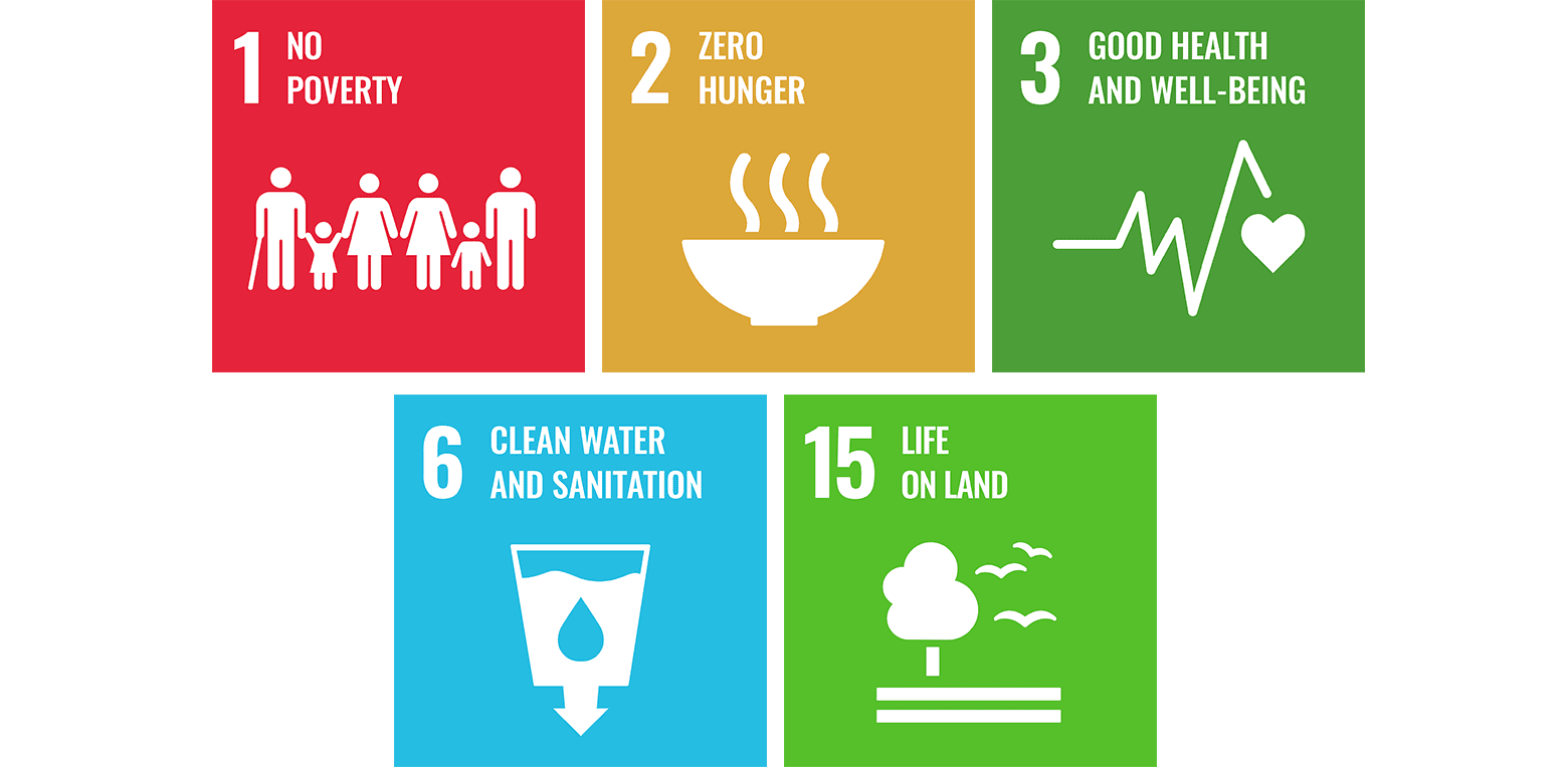 Icons for the UN Sustainable Development Goals: No Poverty, Zero Hunger, Good Health and Well-being, Clean Water and Sanitation, and Life on Land.