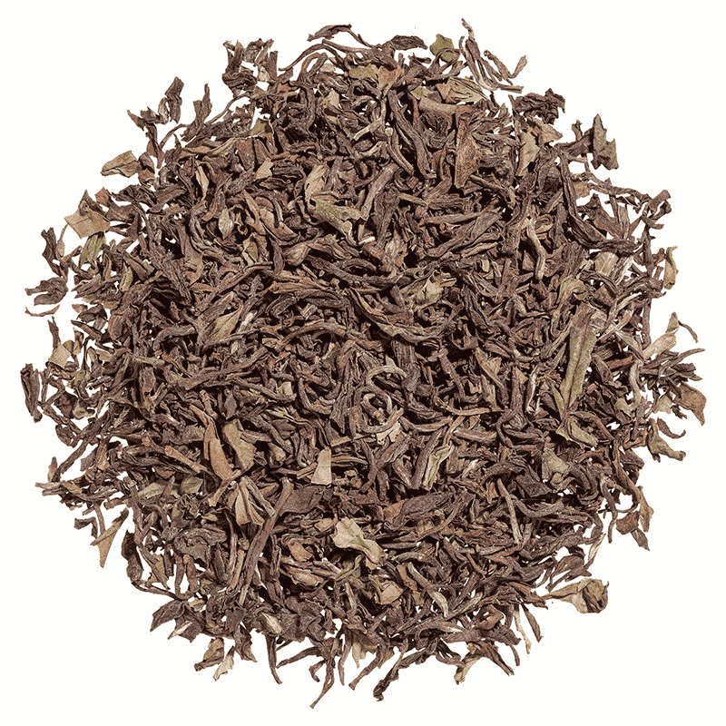Darjeeling* Gielle