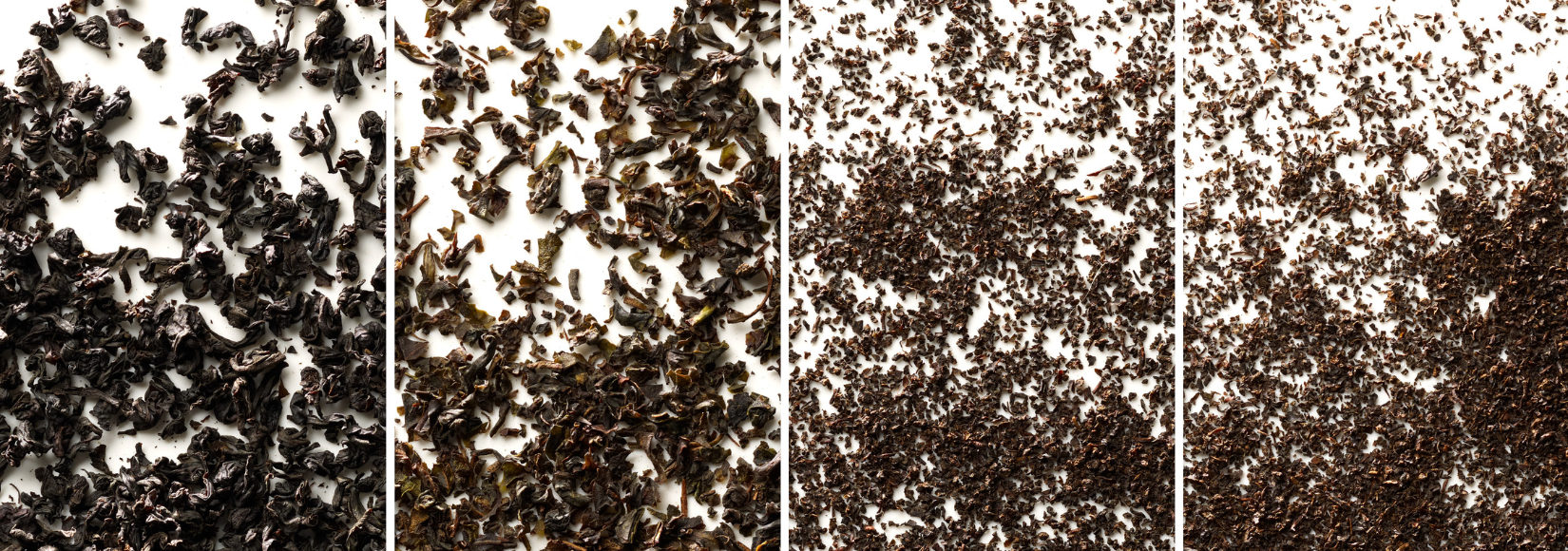 Vier Blattgrade von Schwarzem Tee im Vergleich – von Blatttee über Broken und Fannings bis zu Dust, sortiert von grob bis fein