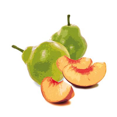 Illustration Birnen und Pfirsichstücke