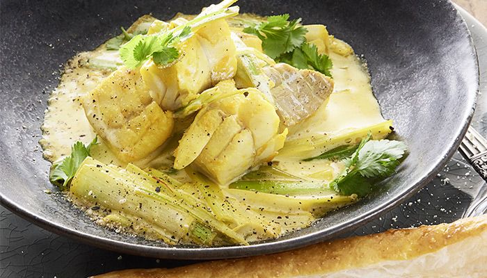 Schale mit Seelachs-Ragout
