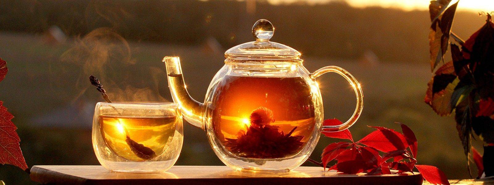 Gläserne Teekanne und -tasse mit Teeblüte darin