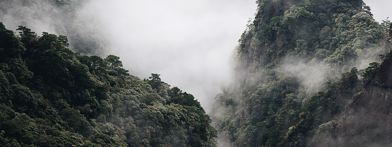 Vernebelte Berglandschaft