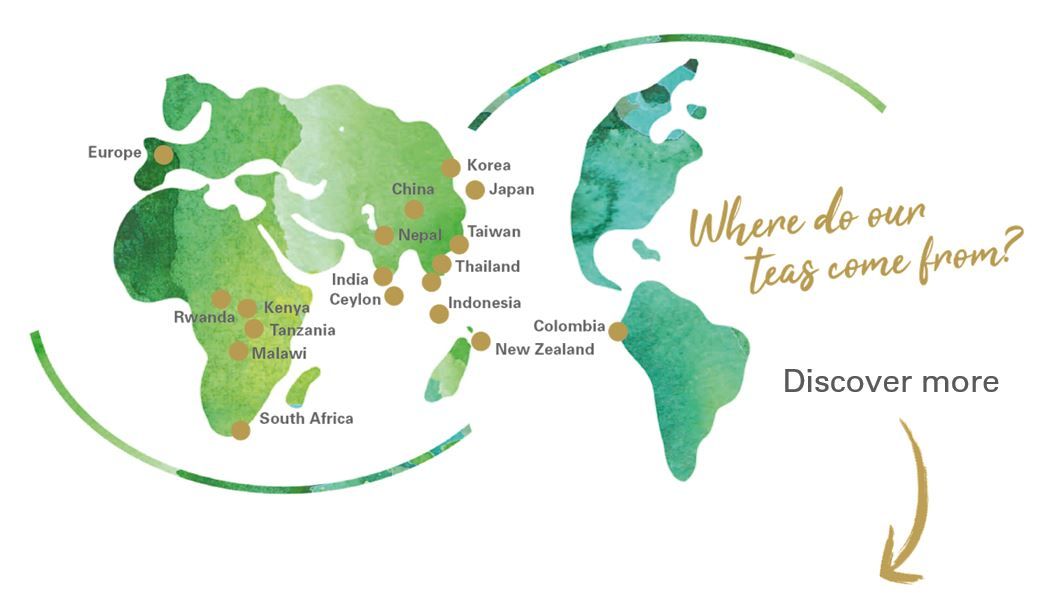 World map showing tea origins in Europe, Asia, Africa, and South America with the text: “Where do our teas come from?”
